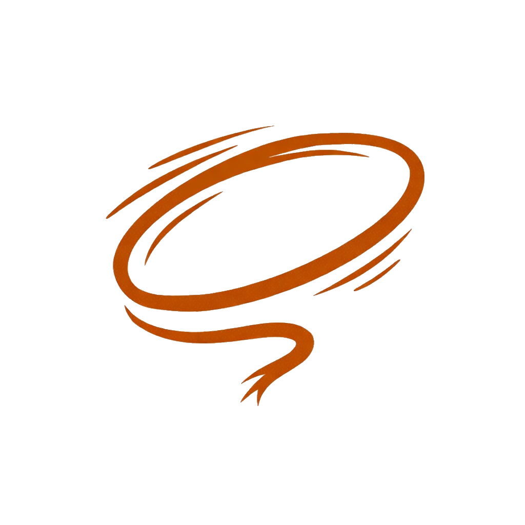 Lasso logo